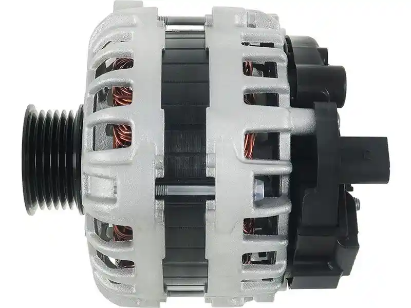AS-PL A01209(SEG)