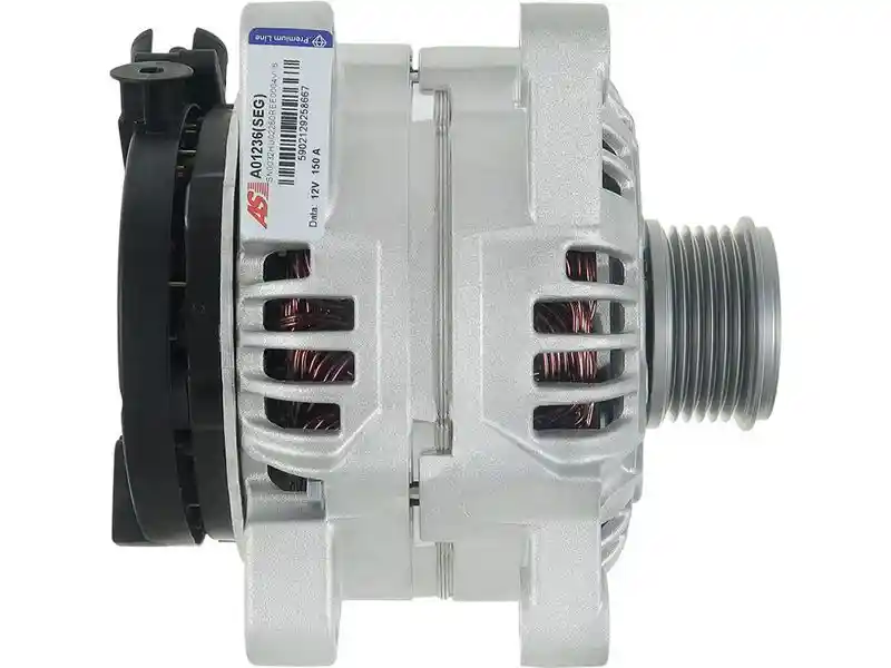 AS-PL A01236(SEG) AS-PL A01236(SEG)