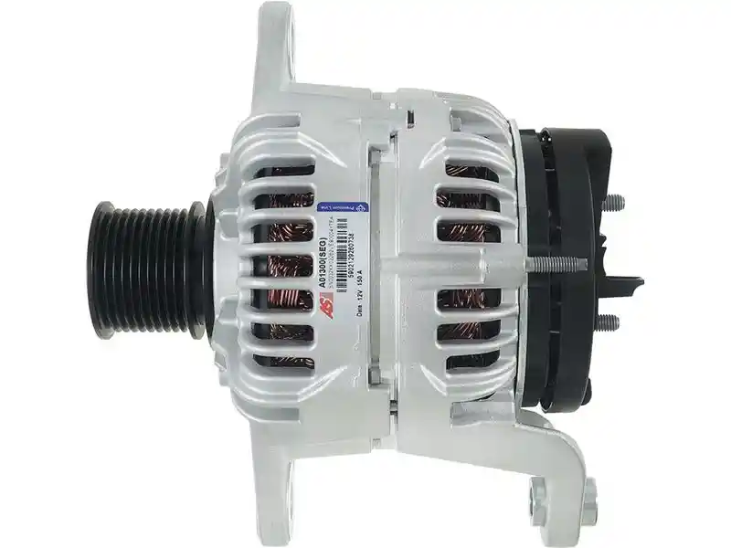 AS-PL A01300(SEG)