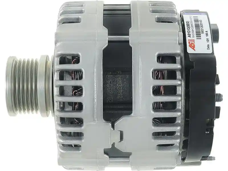 AS-PL A01313(SEG)