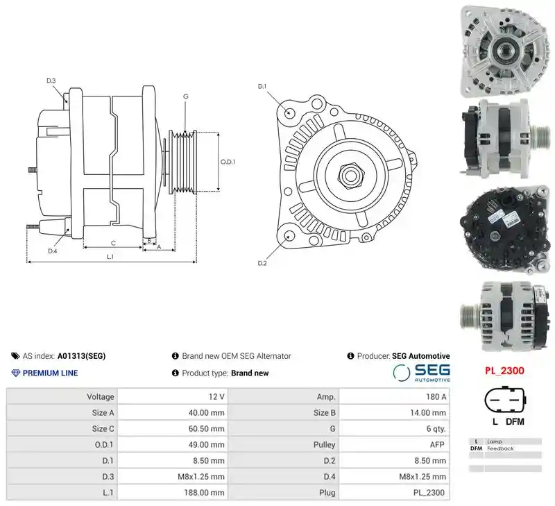 AS-PL A01313(SEG)