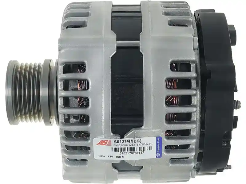 AS-PL A01314(SEG)