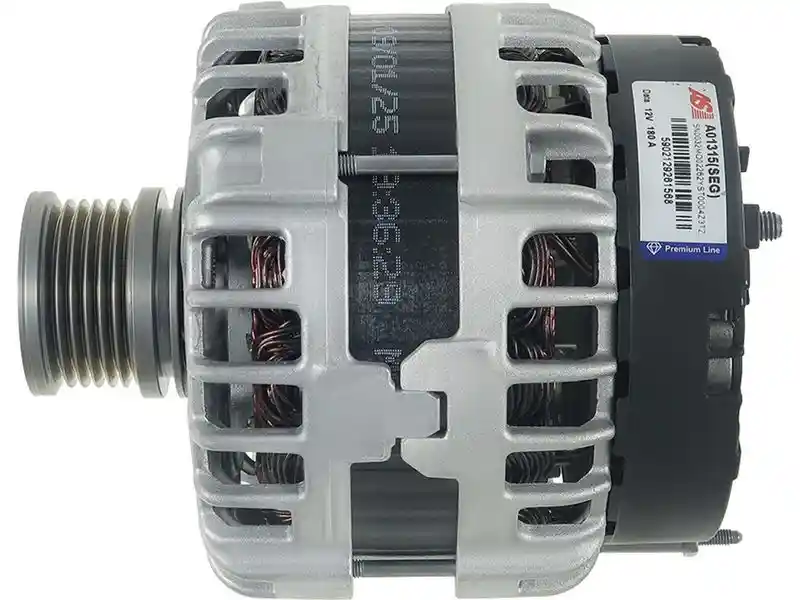 AS-PL A01315(SEG)
