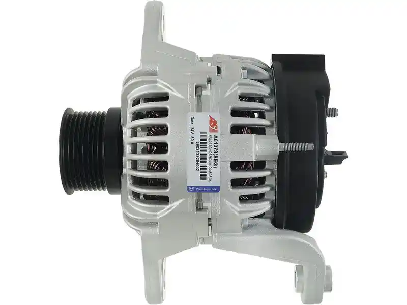 AS-PL A01373(SEG)