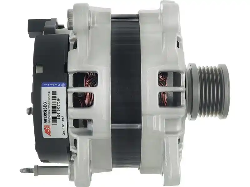 AS-PL A01395(SEG)