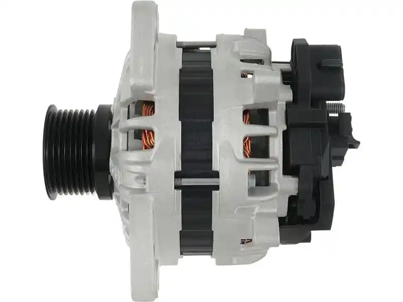 AS-PL A01406(SEG)