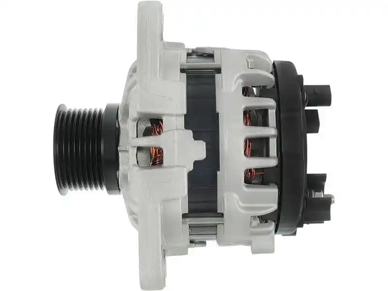 AS-PL A01409(SEG)