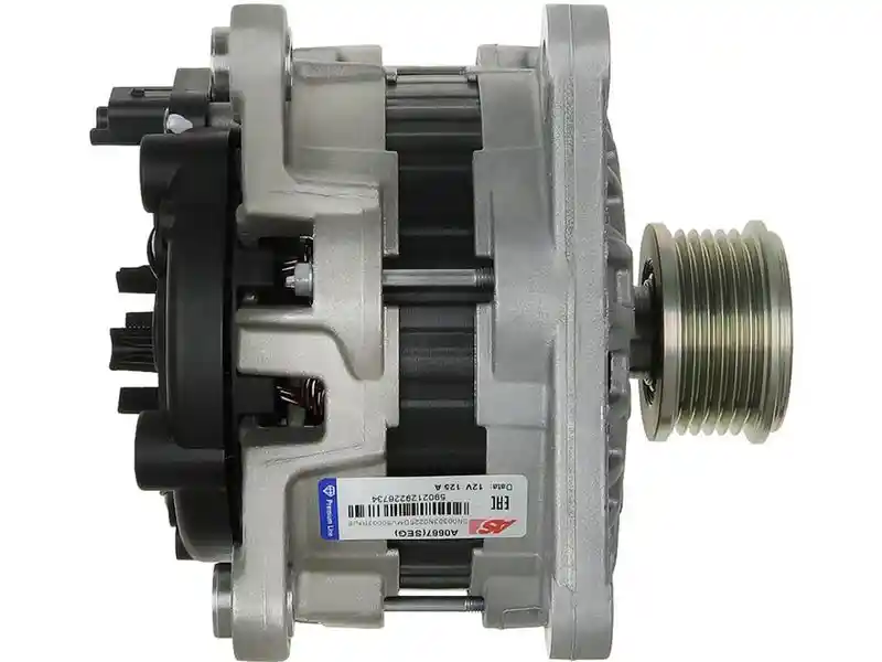 AS-PL A0667(SEG)