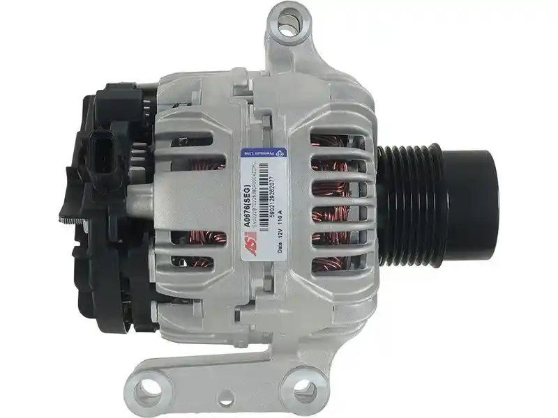 AS-PL A0676(SEG)
