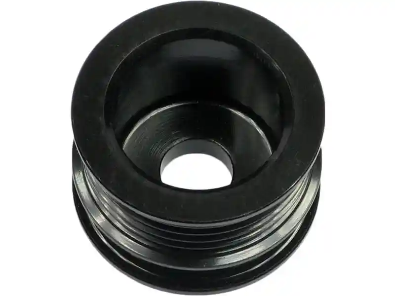 AS-PL AP0022