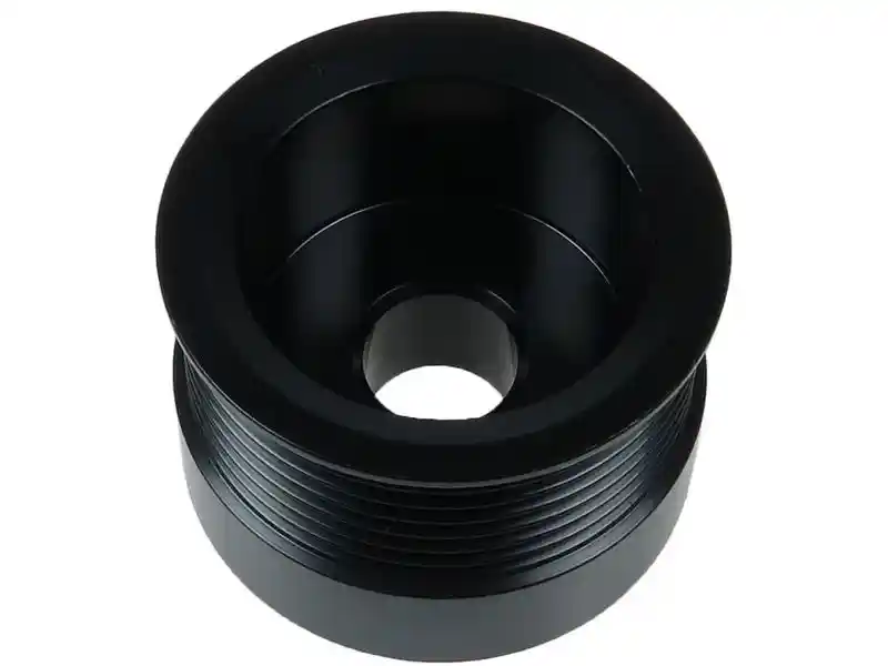 AS-PL AP2021S