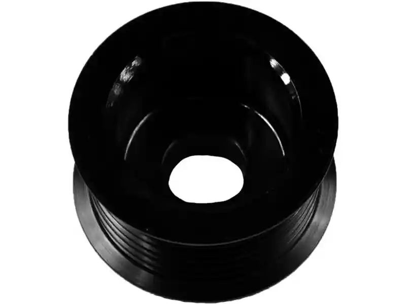AS-PL AP3006