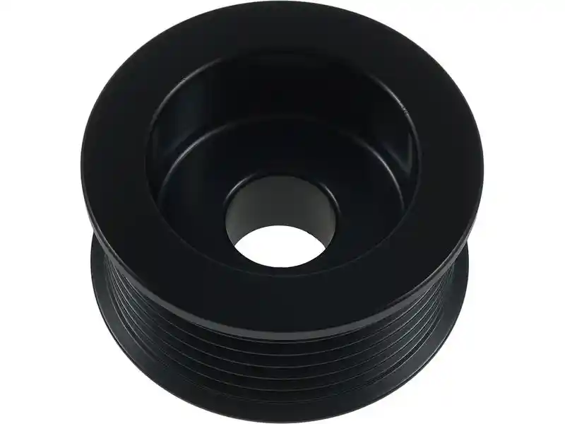 AS-PL AP5007
