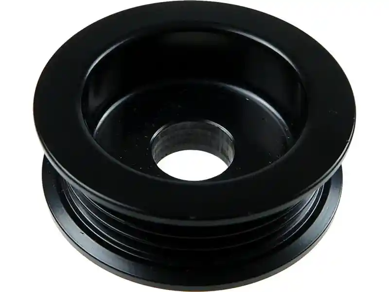 AS-PL AP6010