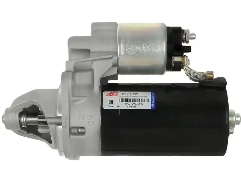 AS-PL S01013(SEG)