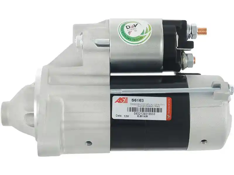 AS-PL S6163