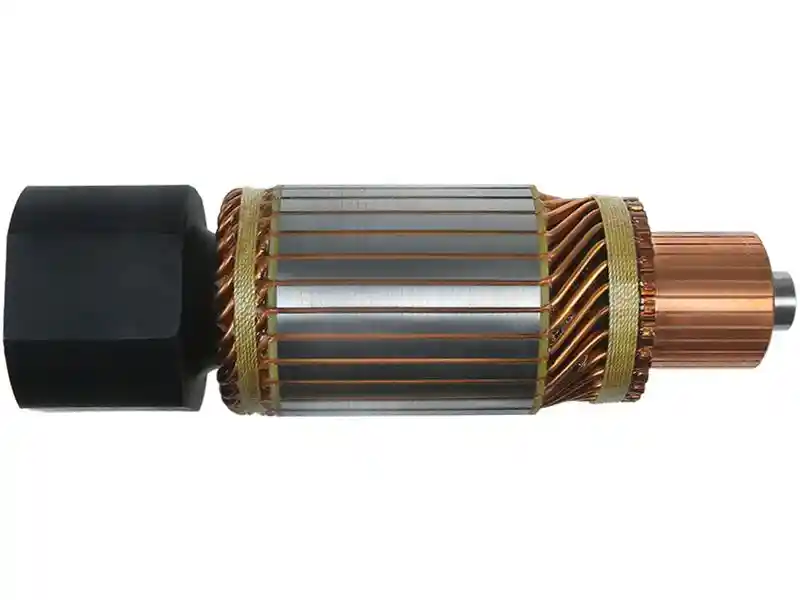 AS-PL SA0010