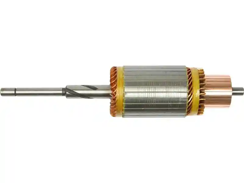 AS-PL SA1007