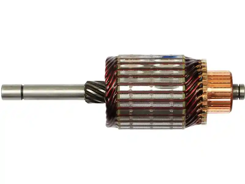 AS-PL SA2025