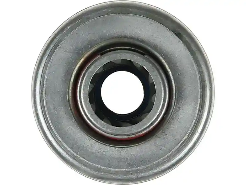 AS-PL SD0010(BOSCH)