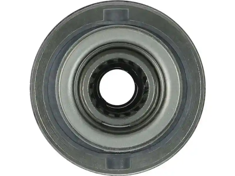AS-PL SD0191P