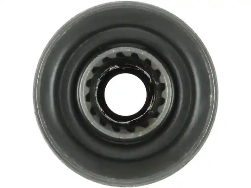 AS-PL SD0248
