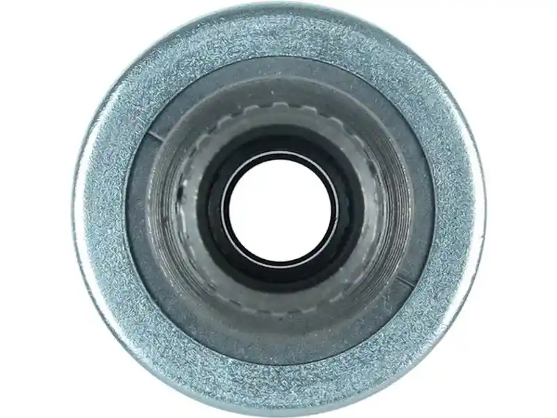 AS-PL SD0256