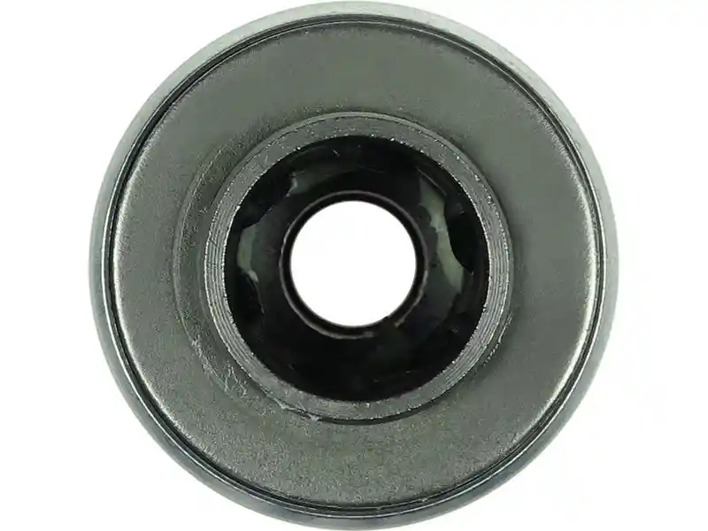 AS-PL SD1009