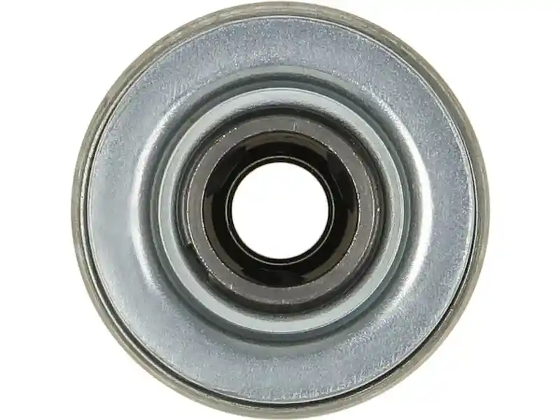 AS-PL SD1036