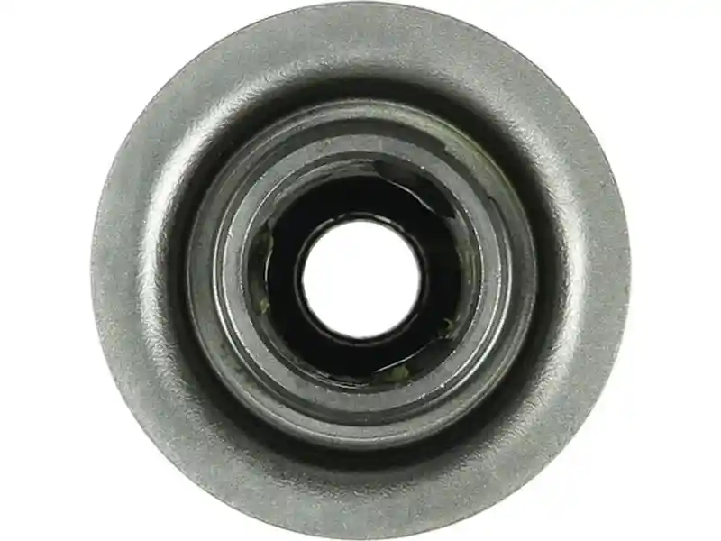 AS-PL SD1089P