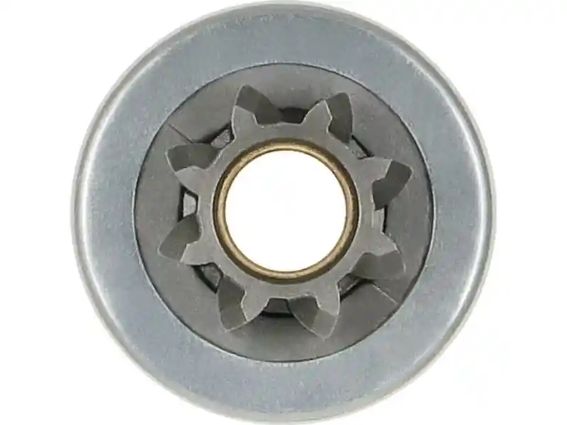 AS-PL SD2011