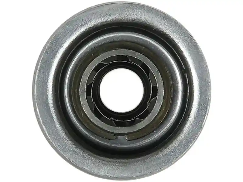 AS-PL SD5005P