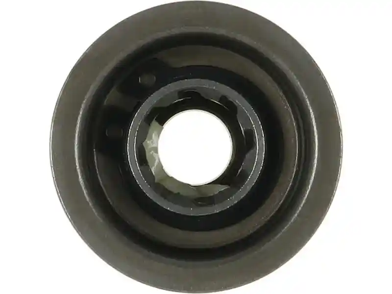 AS-PL SD5074