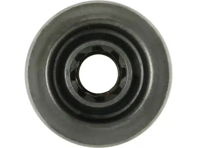 AS-PL SD5077
