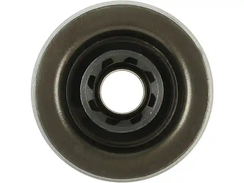 AS-PL SD5098