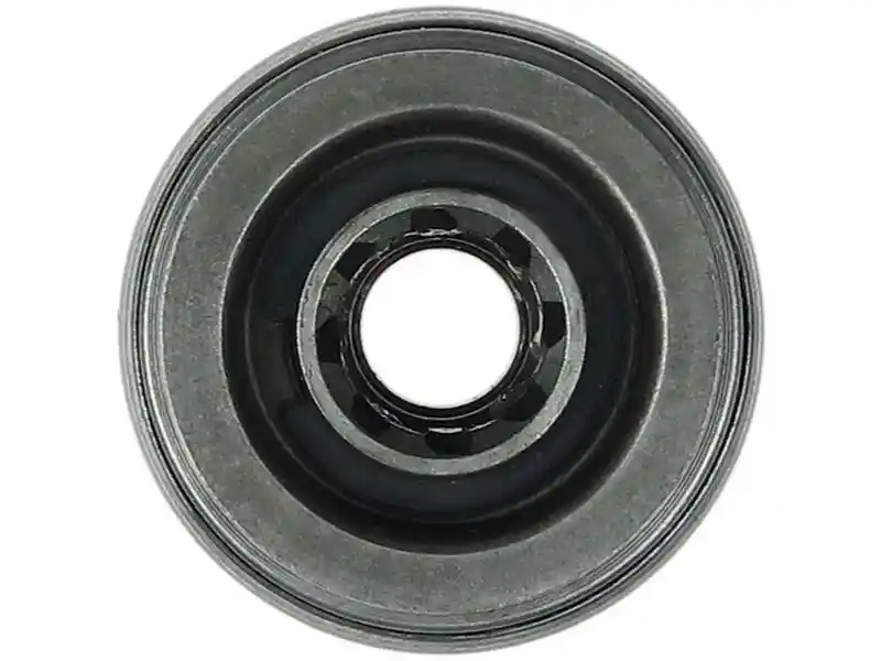 AS-PL SD5177S