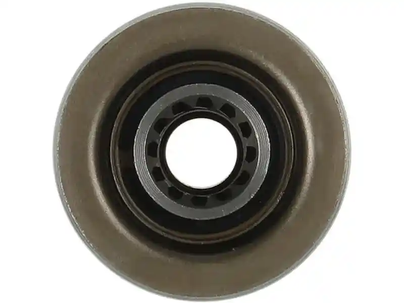 AS-PL SD5191S