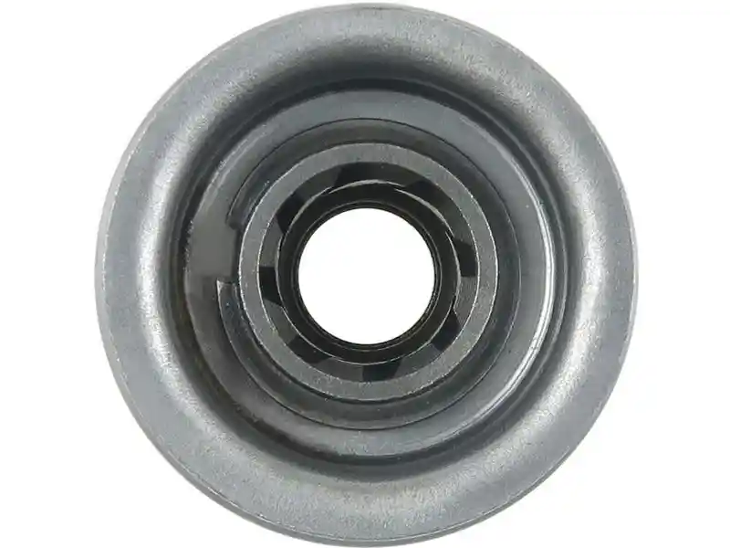 AS-PL SD5195P