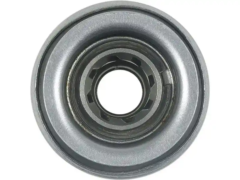 AS-PL SD5198P