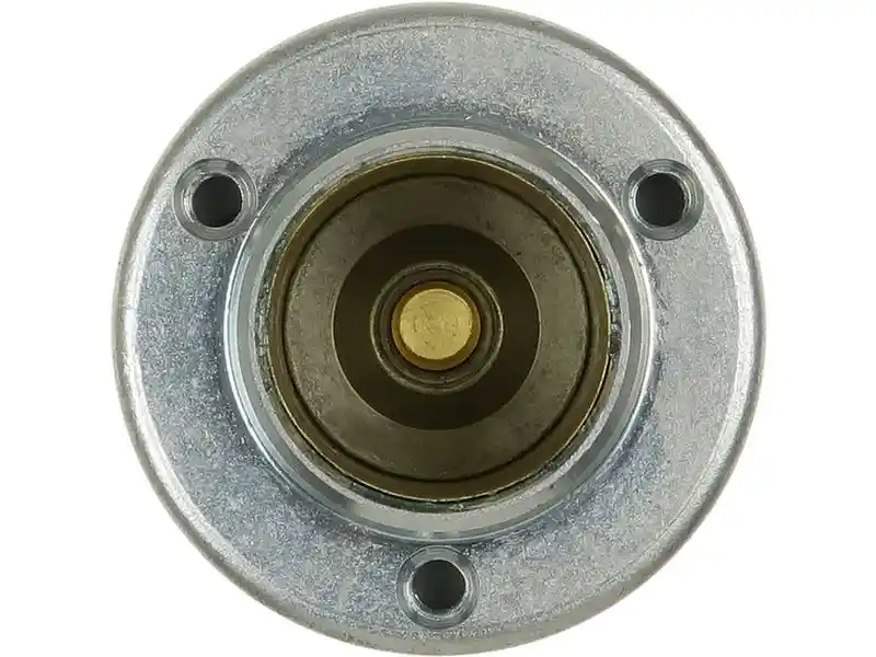 AS-PL SS0171P
