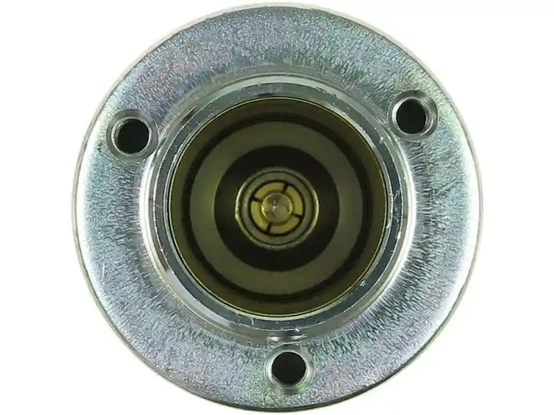 AS-PL SS0196(BOSCH)