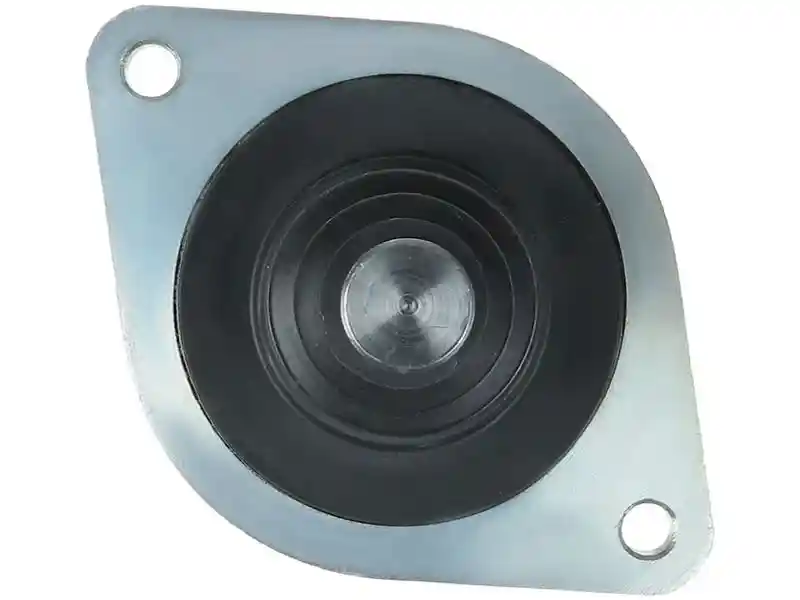 AS-PL SS1029P