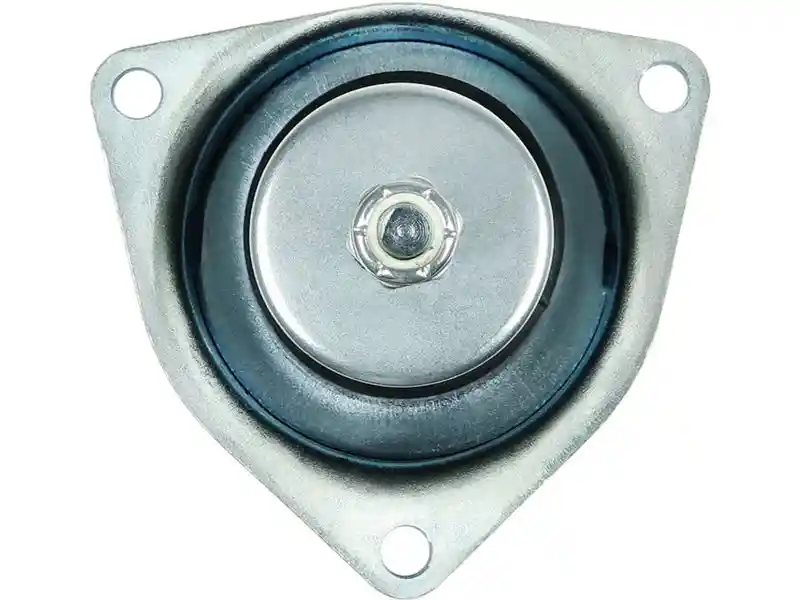 AS-PL SS1098