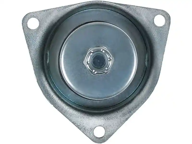 AS-PL SS1155S