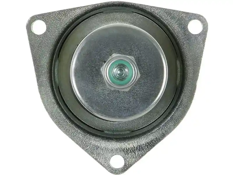 AS-PL SS1193P