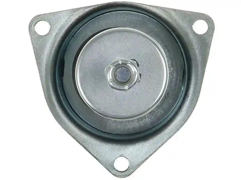 AS-PL SS1193S