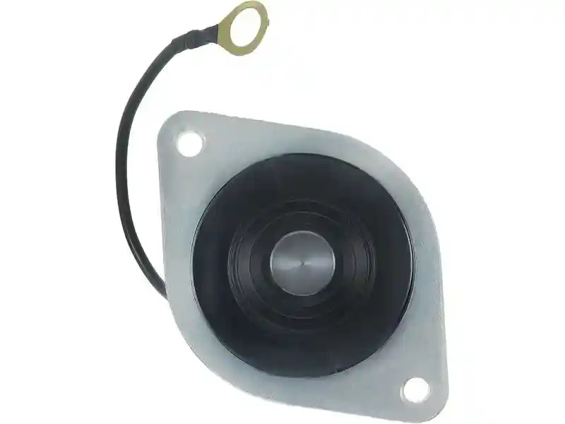 AS-PL SS1196P