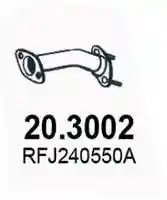ASSO 20.3002