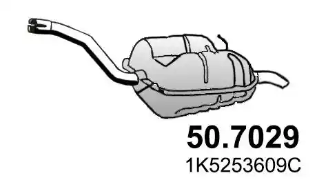 ASSO 50.7029