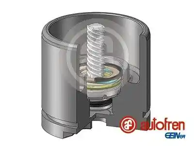 AUTOFREN SEINSA D025256LK